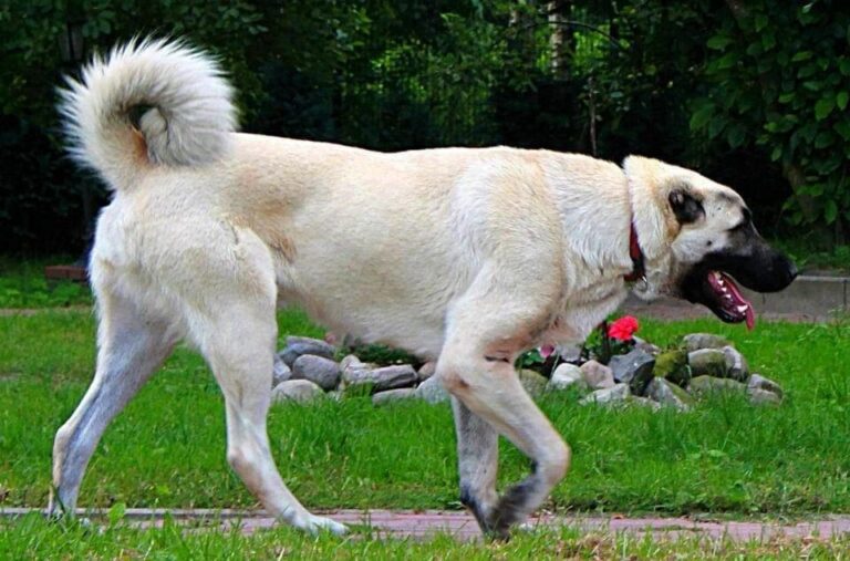 Ulusal Degerlerimize Sahip Çıkan Anlayışta Olmak Bizim Milli Görevimizdir.