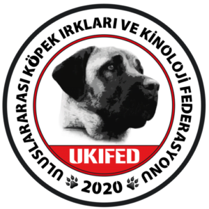 UKIFED-23-13106